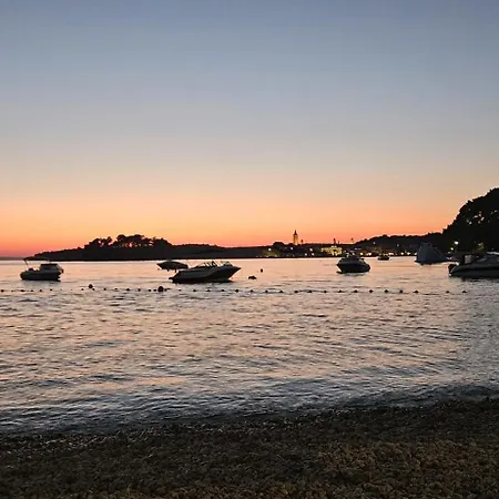 Sandra Prpic Konukevi